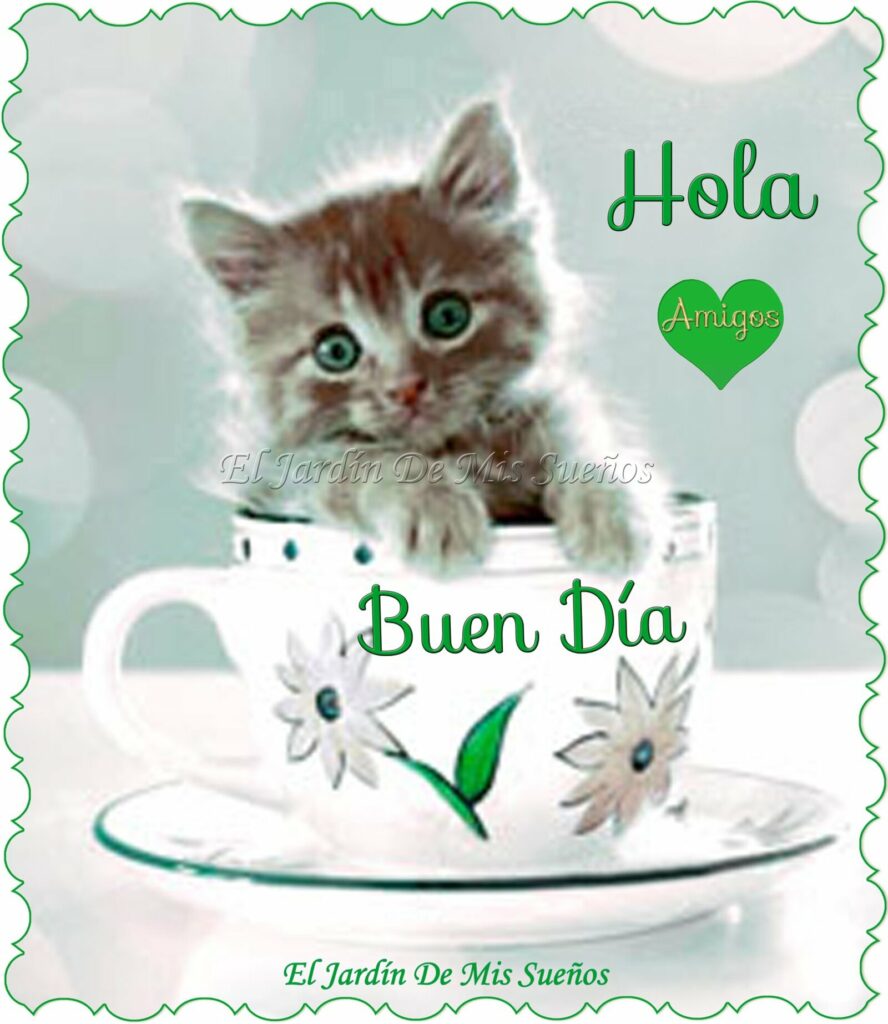 Hola Buen Dia