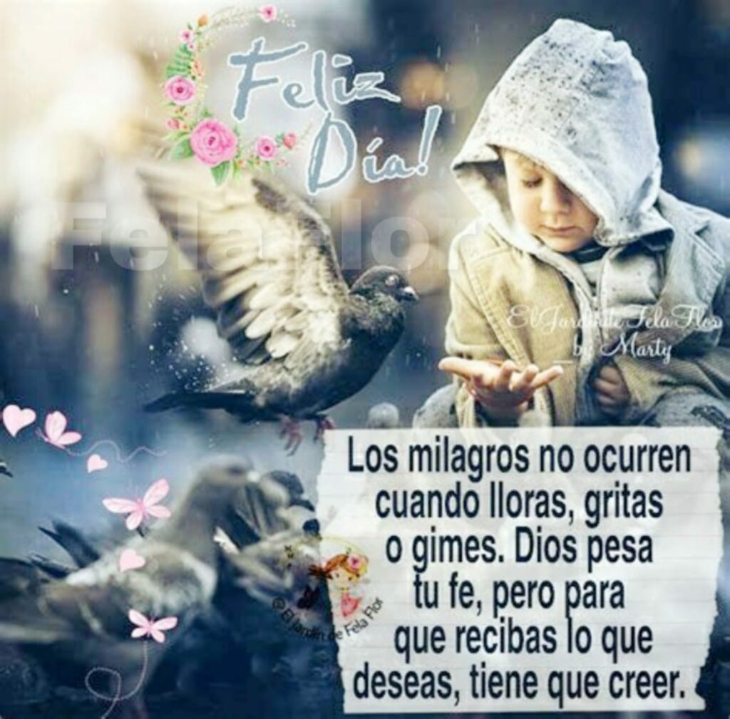 Feliz día! Los milagros no ocurren cuando lloras, gritas o gimes. Dios pesa tu fe, pero para que recibas lo que deseas, tiene que creer.