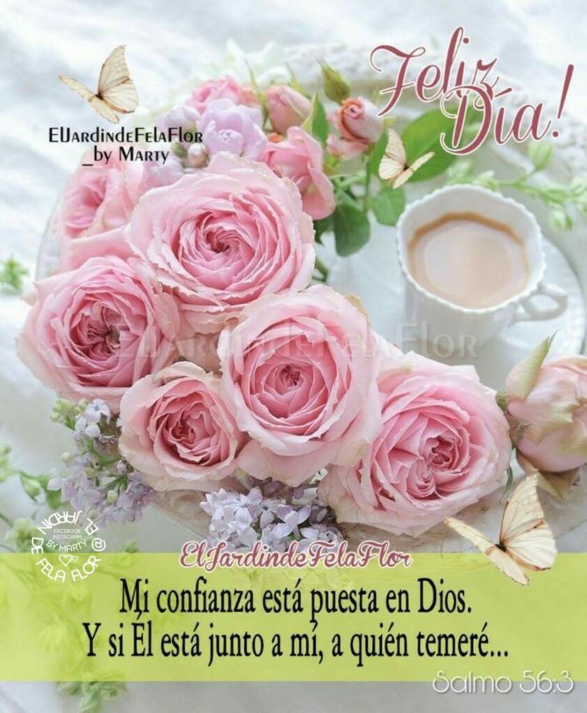 Feliz Día! Mi confianza está puesta en Dios. Y si Él está junto a mi, a quién temeré... - Salmo 56:3