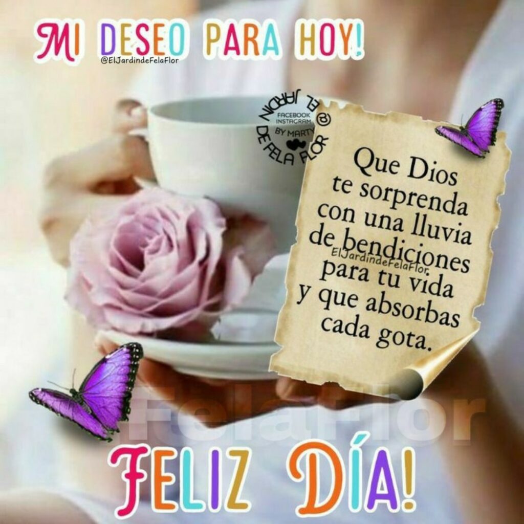 MI DESEO PARA HOY: Que Dios te sorprenda con una lluvia de bendiciones para tu vida y que absorbas cada gota. FELIZ DÍA!