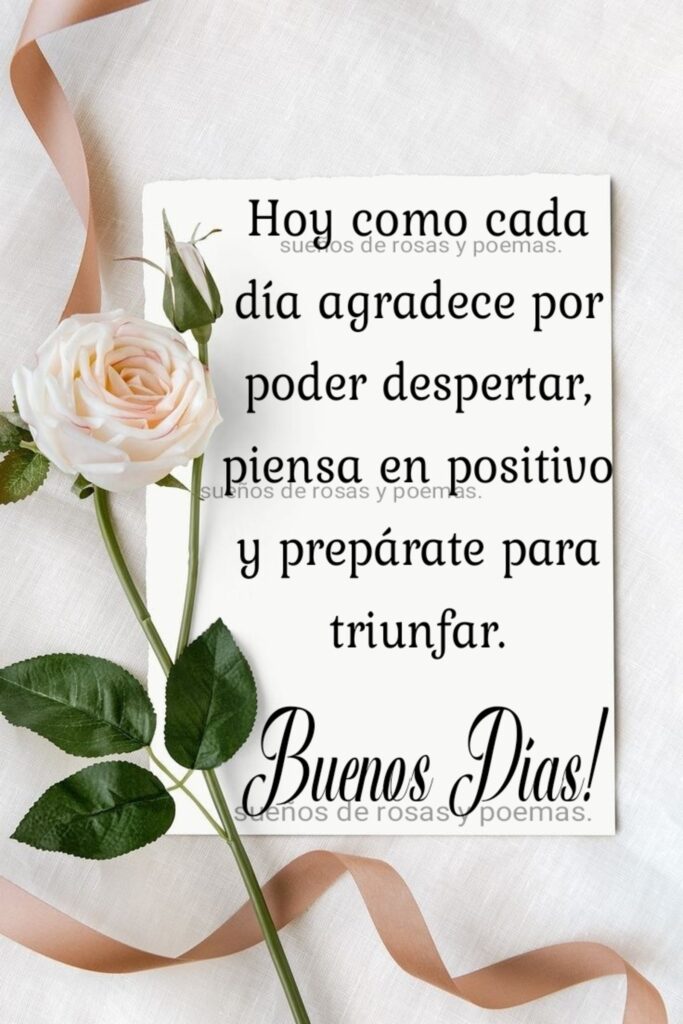 Hoy como cada día agradece por poder despertar, piensa en positivo y prepárate para triunfar. Buenos Días!