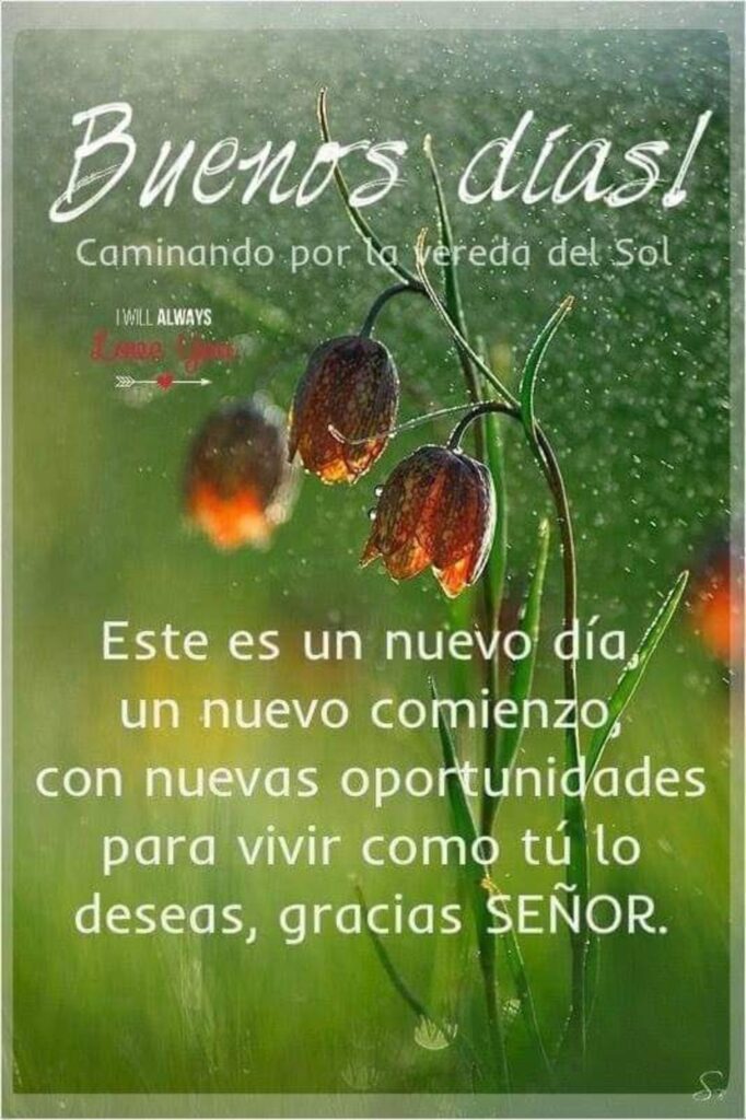 Buenos Días! Este es un nuevo día, un nuevo comienzo, con nuevas oportunidades para vivir como tú lo deseas, gracias SEÑOR.