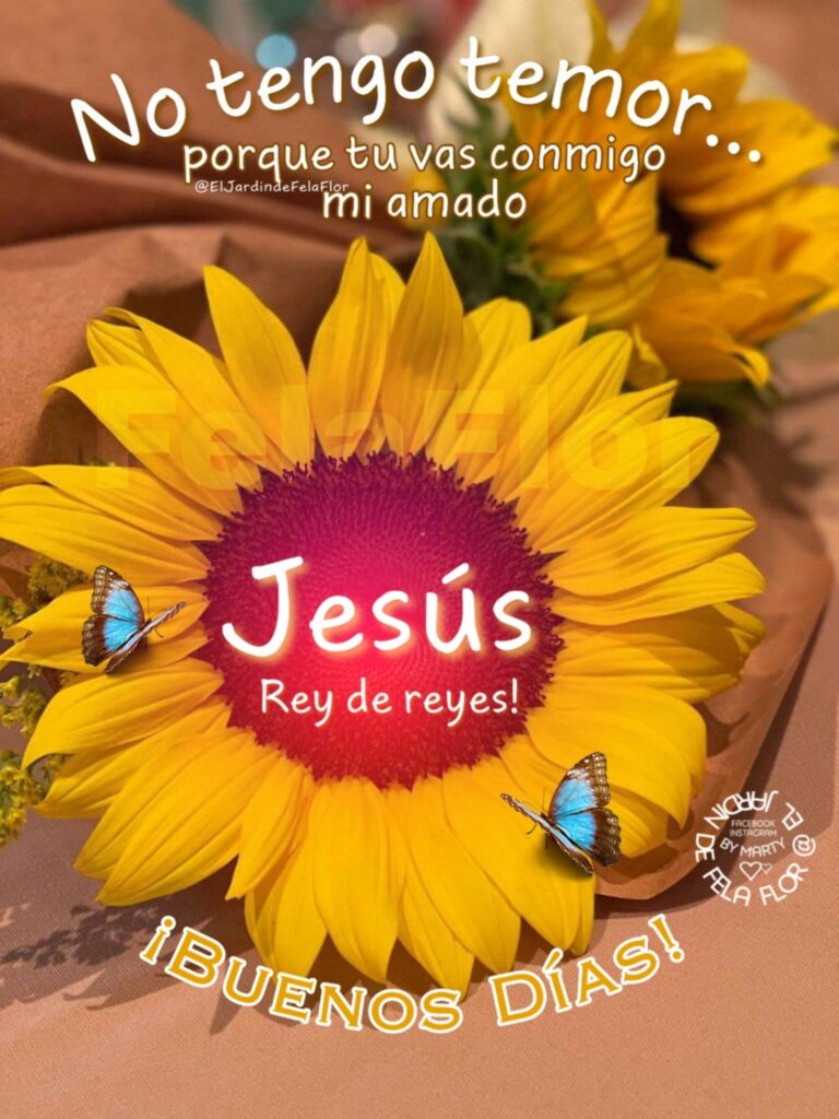 No tengo temor... porque tu vas conmigo mi amado Jesús Rey de reyes! ¡BUENOS DÍAS!