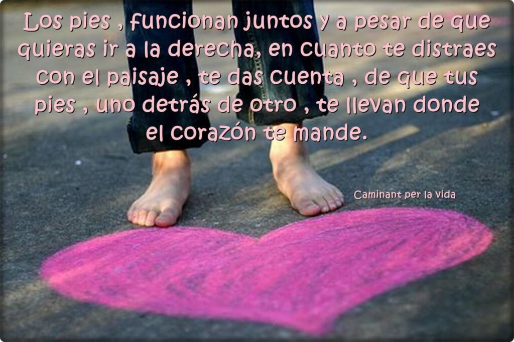 Los pies, funcionan juntos y a pesar de que quieras ir a la derecha, en cuanto te distraes con el paisaje, te das cuenta, de que tus pies, uno detrás de otro, te llevan donde el cotazón te mande.