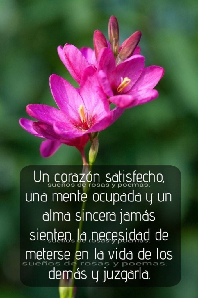 Un corazón satisfecho, una mente ocupada y un alma sincera jamás sienten la necesitad de meterse en la vida de los demás y juzgarla.