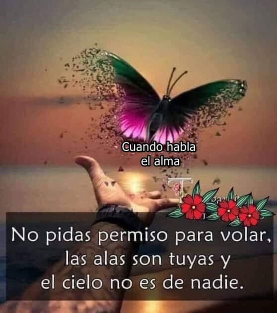 No pidas permiso para volar,las alas son tuyas y el cielo no es de nadie.