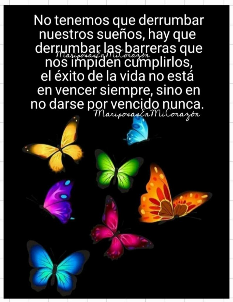 No tenemos que derrumbar nuestros sueños, hay que derrumbar las barreras que nos impiden cumplirlos, el éxito de la vida no está en vender siempre, sino en no darse por vendico nunca.