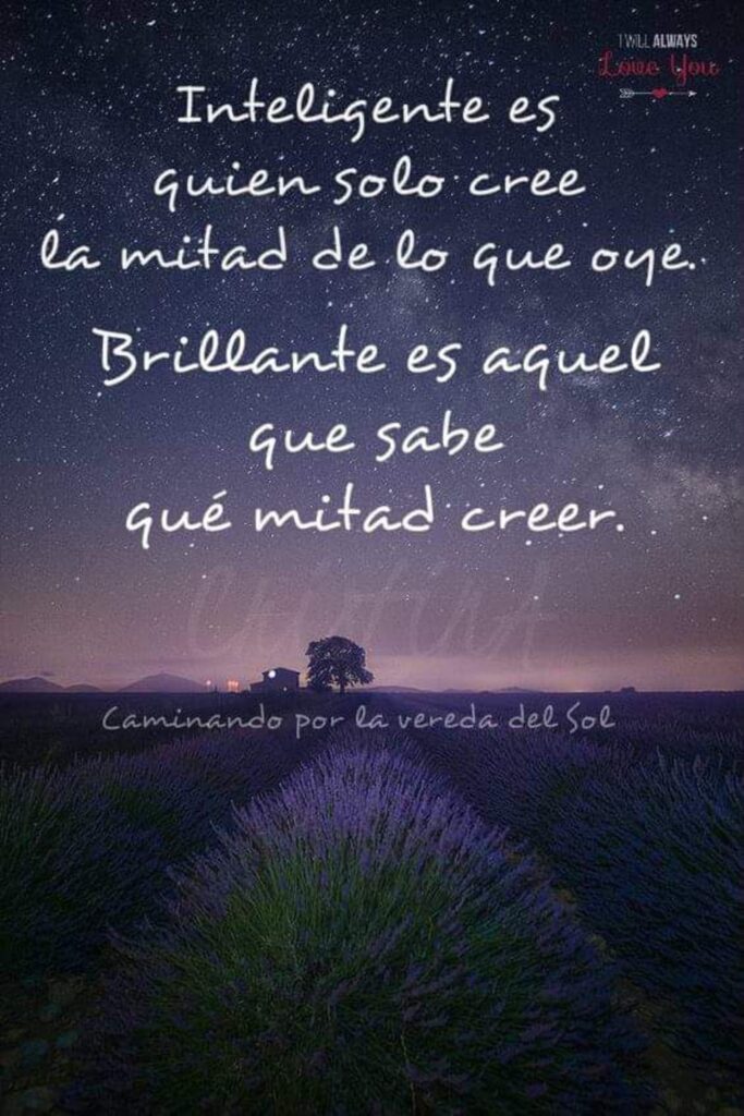 Inteligente es quien solo cree la mitad de lo que oye, Brillante es aquel que sabe qué mitad creer.