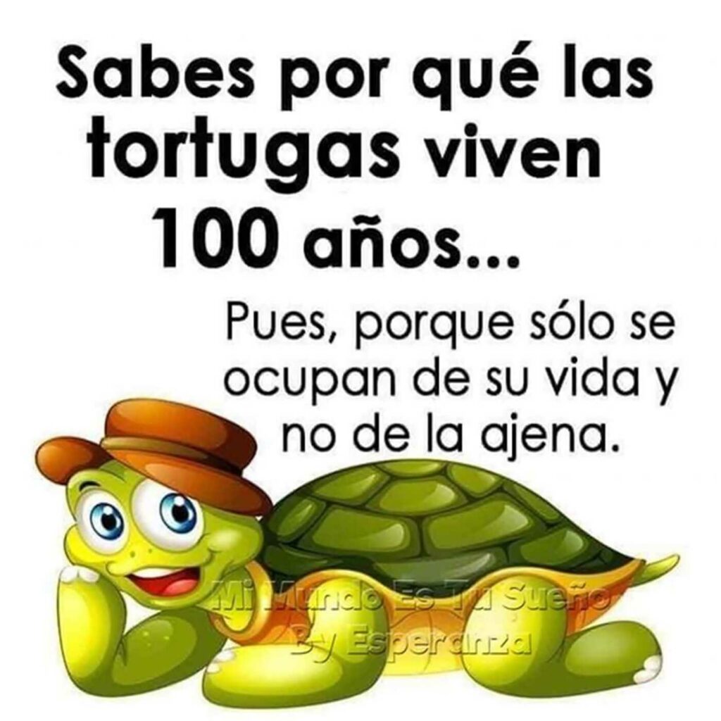 Sabes por qué las tortugas viven 100 años... Pues, porque sólo se ocupan de su vida y no de la ajena.