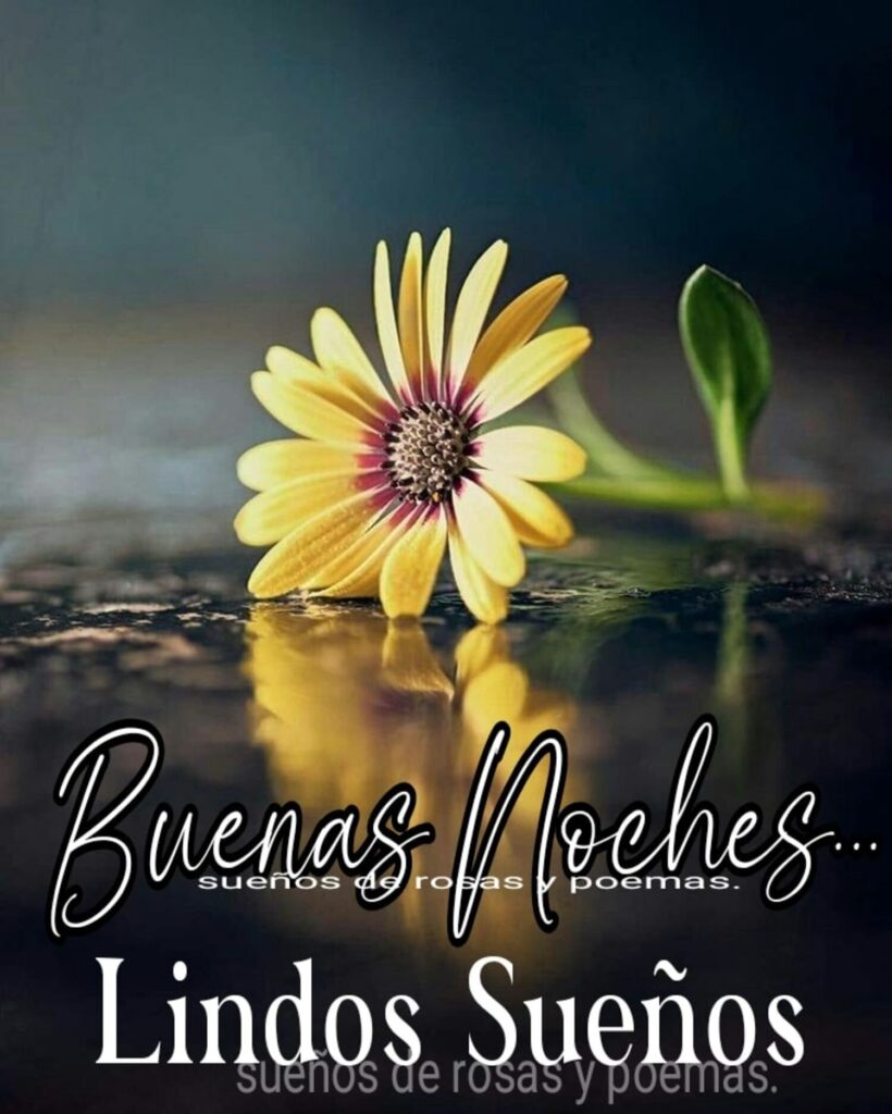 Buenas Noches... Lindos Sueños