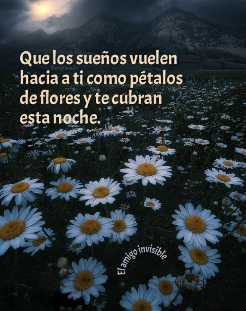 Que los sueños vuelen hacia a ti como pétalos de flores y te cubran esta noche. - El amigo invisible