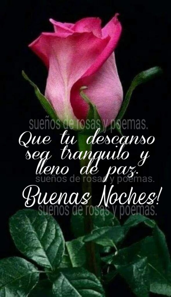 Que tu descanso sea tranquilo y lleno de paz. Buenas Noches!