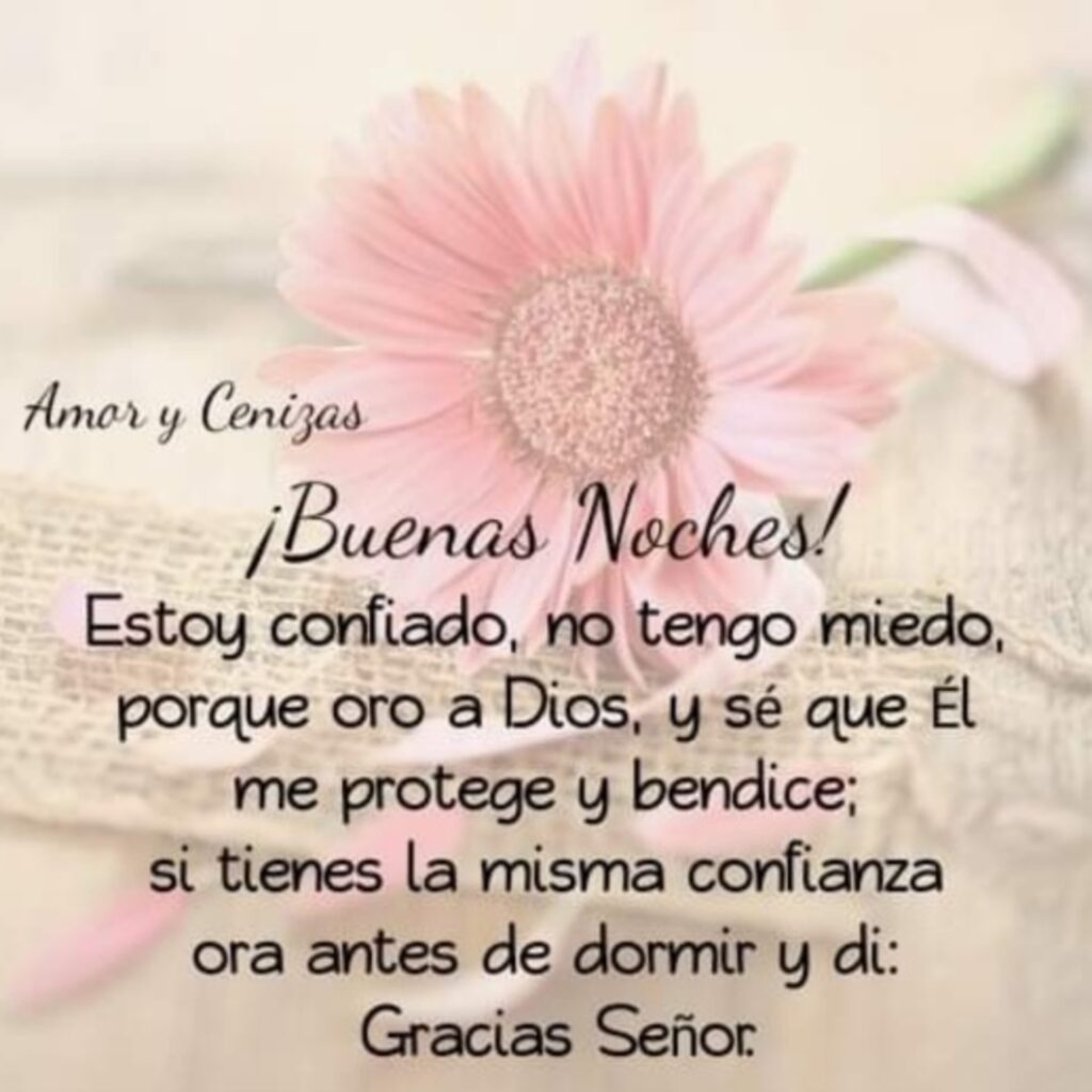 ¡Buenas Noches! Estoy confiando, no tengo miedo, porque oro a Dios, y sé que Él me protege y bendice; si tienes la misma confianza ora antes de dormir y di: Gracias Señor.