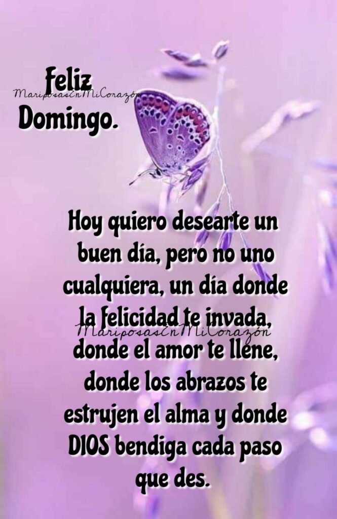 Feliz Domingo. Hoy quiero desearte un buen día, pero no uno cualquiera, un día donde la felicidad te invada, donde el amor te llene, donde los abrazos te estrujen el alma y donde DIOS bendiga cada paso que des.