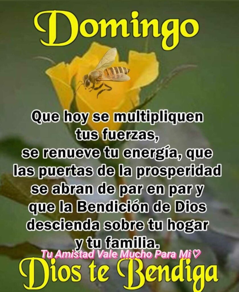 Domingo, Dios te bendiga. Que hoy se multipliquen tus fuerzas, se renueve tu energía, que las puertas de la prosperidad se abran de par en par y que la bendición de Dios descienda sobre tu hogar y tu familia.