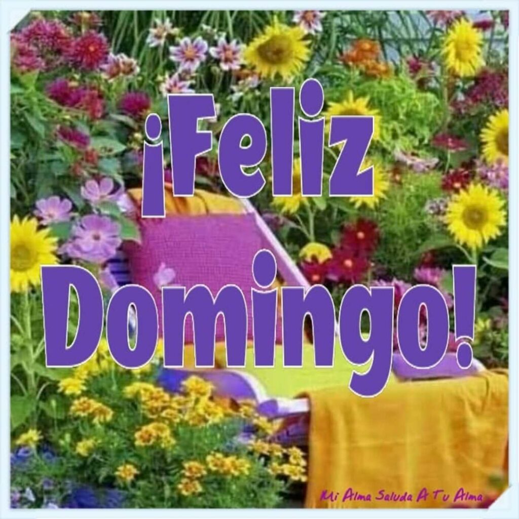 ¡Feliz Domingo!