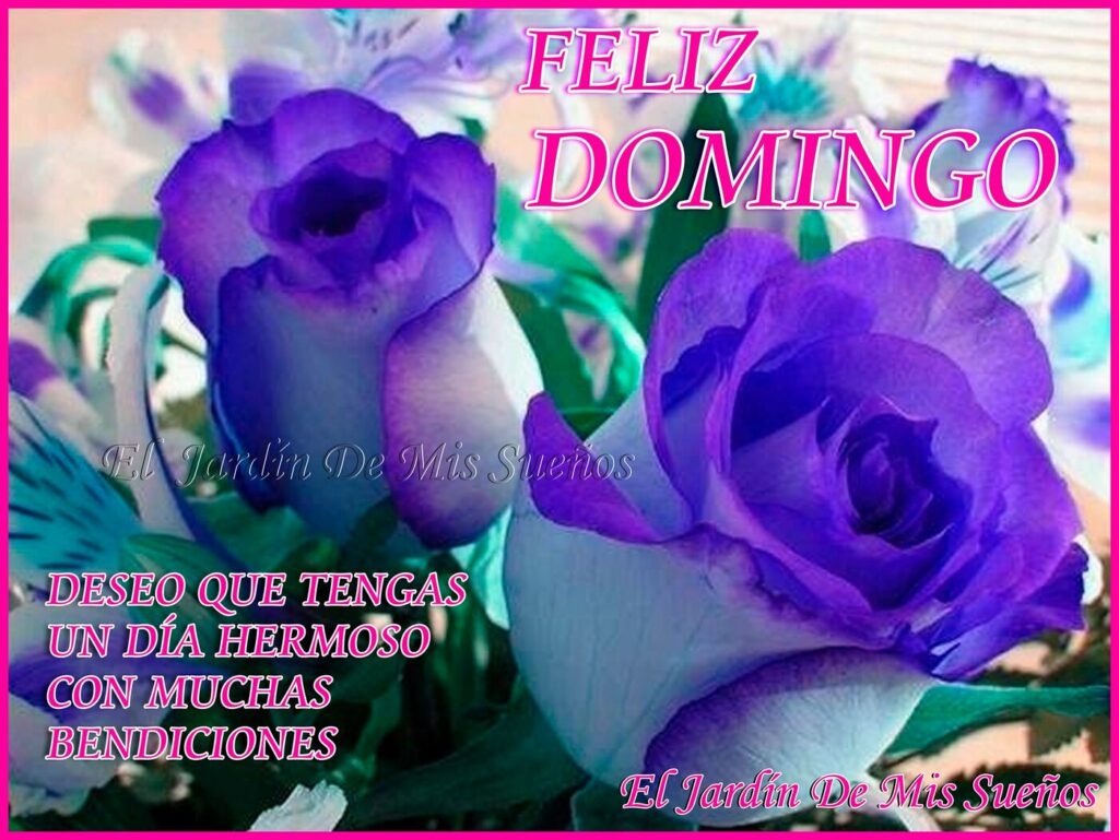 Feliz Domingo. Deseo que tengas un día hermoso con muchas bendiciones