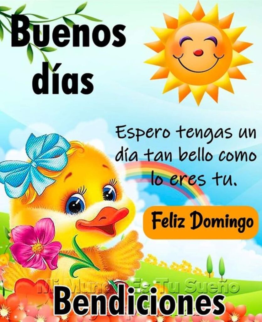 Buenos Dias y Feliz Domingo. Espero tengas un día tan bello como lo eres tu, bendiciones