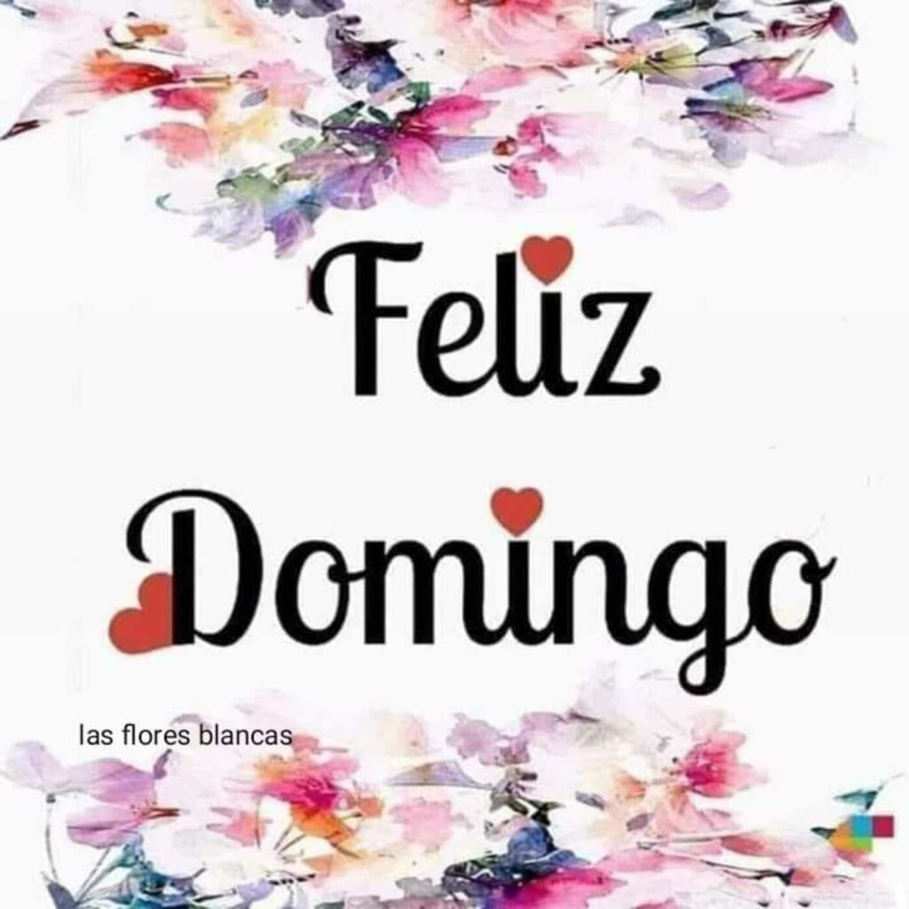 Feliz Domingo