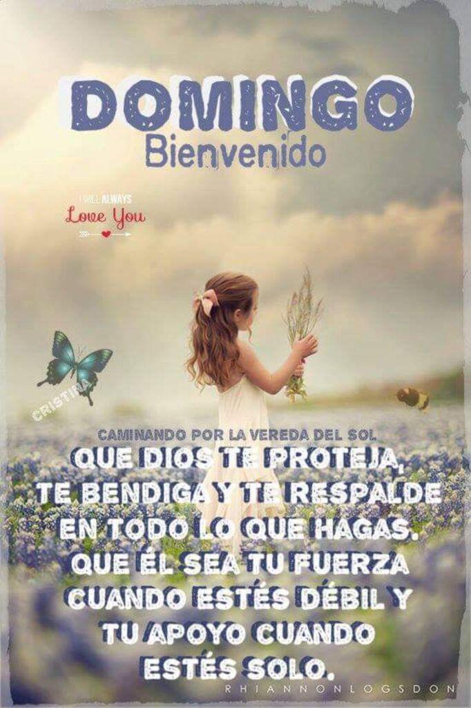 DOMINGO Bienvenido. Que Dios te proteja, te bendiga y te respalde en todo lo que hagas. Que Él sea tu fuerza cuando estés débil y tu apoyo cuando estés solo.