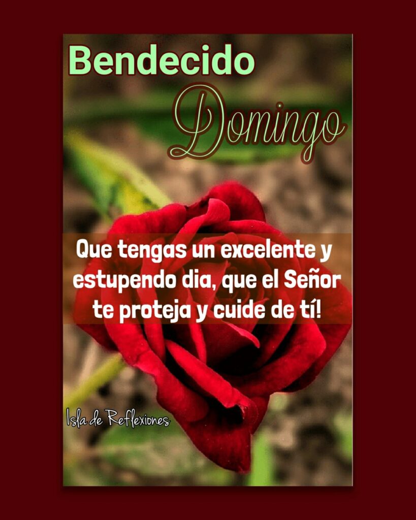 Bendecido Domingo. Que tengas un excelente y estupendo día, que el Señor te proteja y cuide de tí!