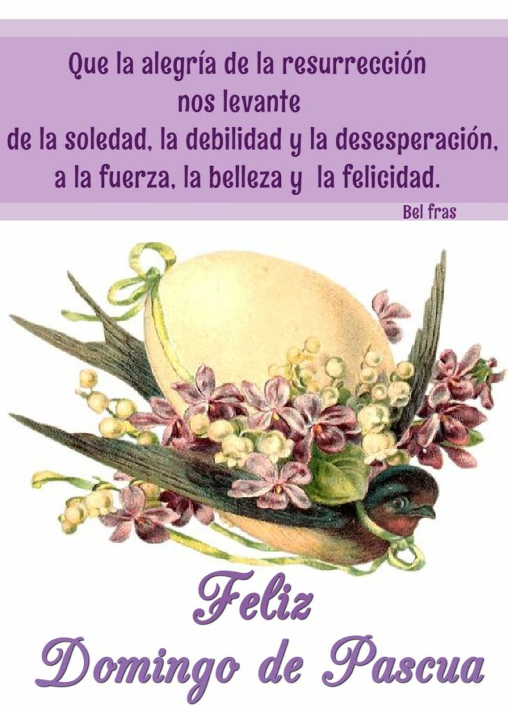 Que la alegría de la Resurreción nos levante de la soledad, la debilidad y la desesperación, a la fuerza, la belleza y la felicidad. Feliz Domingo de Pascua. (Bel fras)