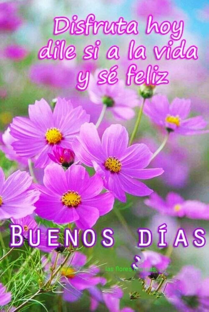 Disfruta hoy dile si a la vida y sé feliz: BUENOS DÍAS