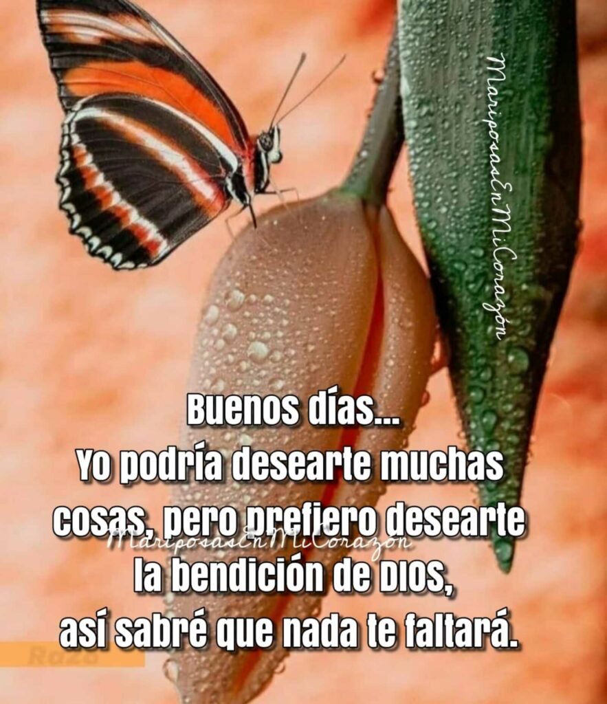 Buenos días... yo podría desearte muchas cosas, pero prefiero desearte la bendición de DIOS, así sabré que nada le faltará.