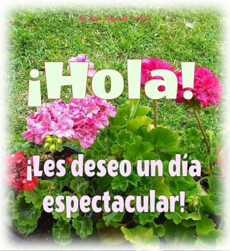 ¡HOLA! Les deseo un día espectacular