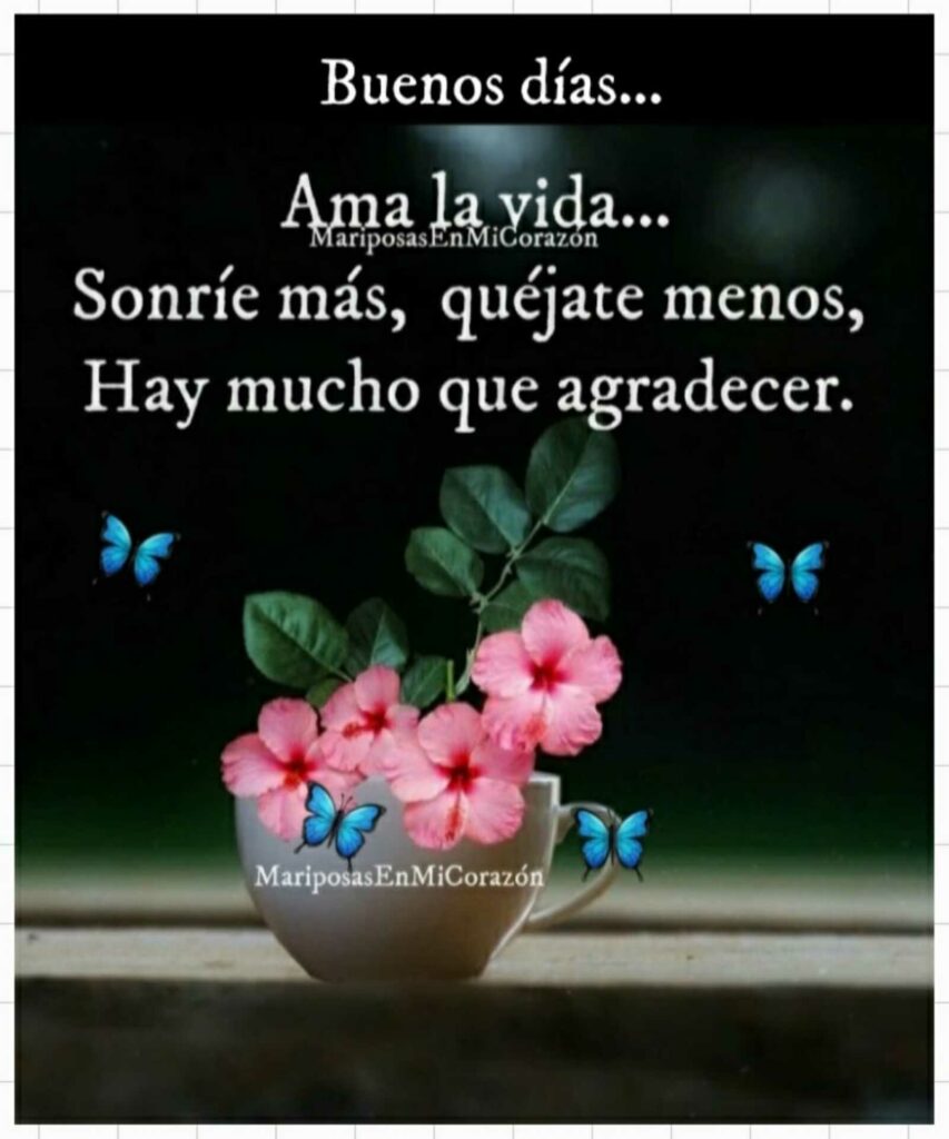 Buenos Días... Ama la vida... Sonríe más, quéjate menos, hay mucho que agradecer.