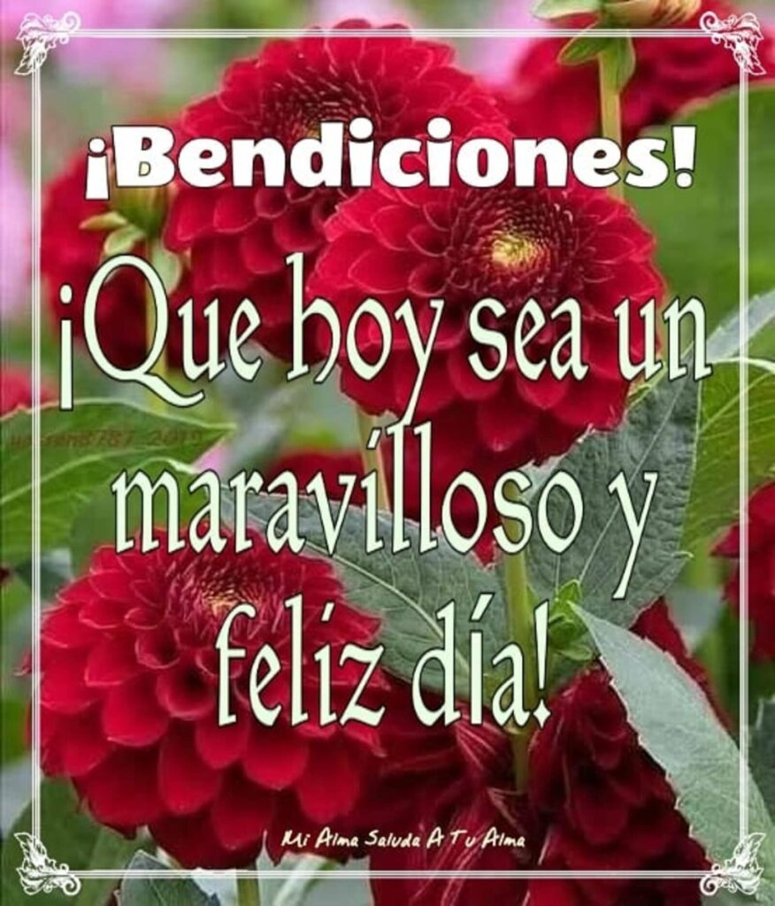 ¡Bendiciones! ¡Que hoy sea un maravilloso y deliz día!