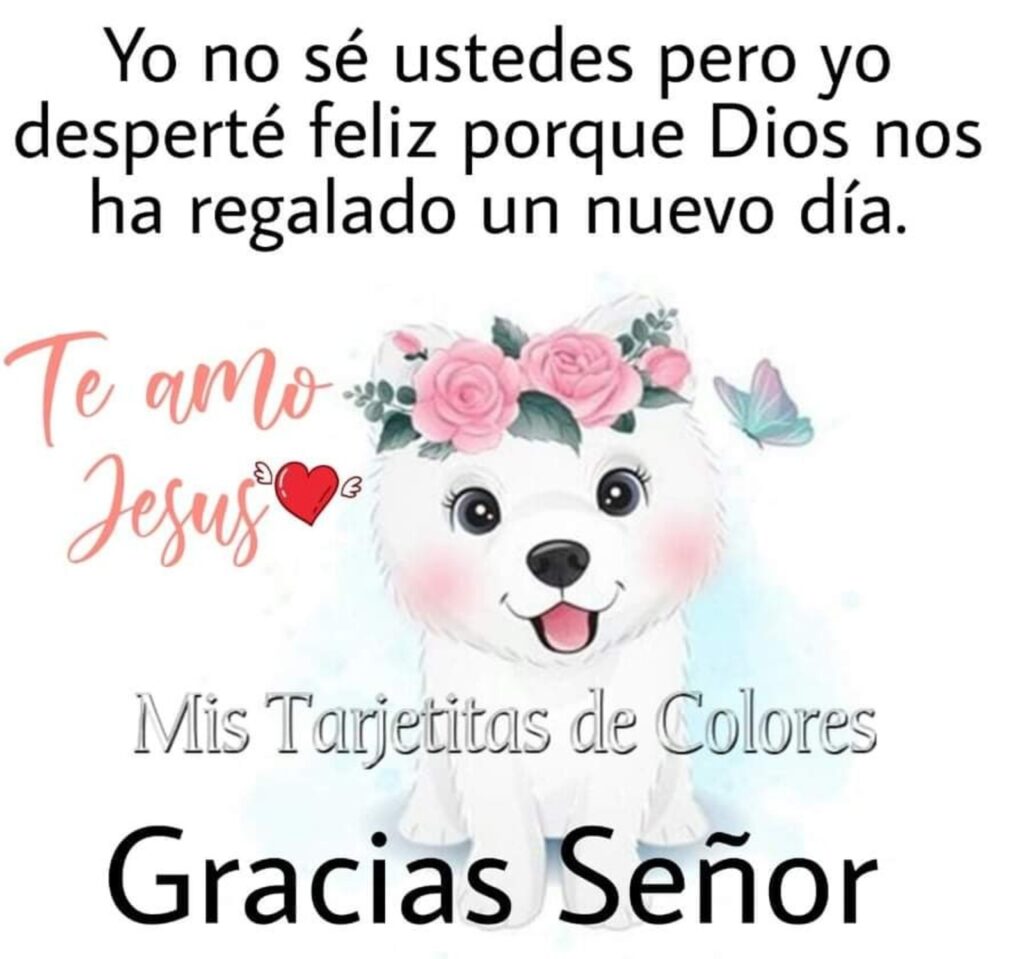 Yo no sé ustedes pero yo desperté feliz porque Dios nos ha regalado un nuevo día. Te amo Jesús, Gracias Señor