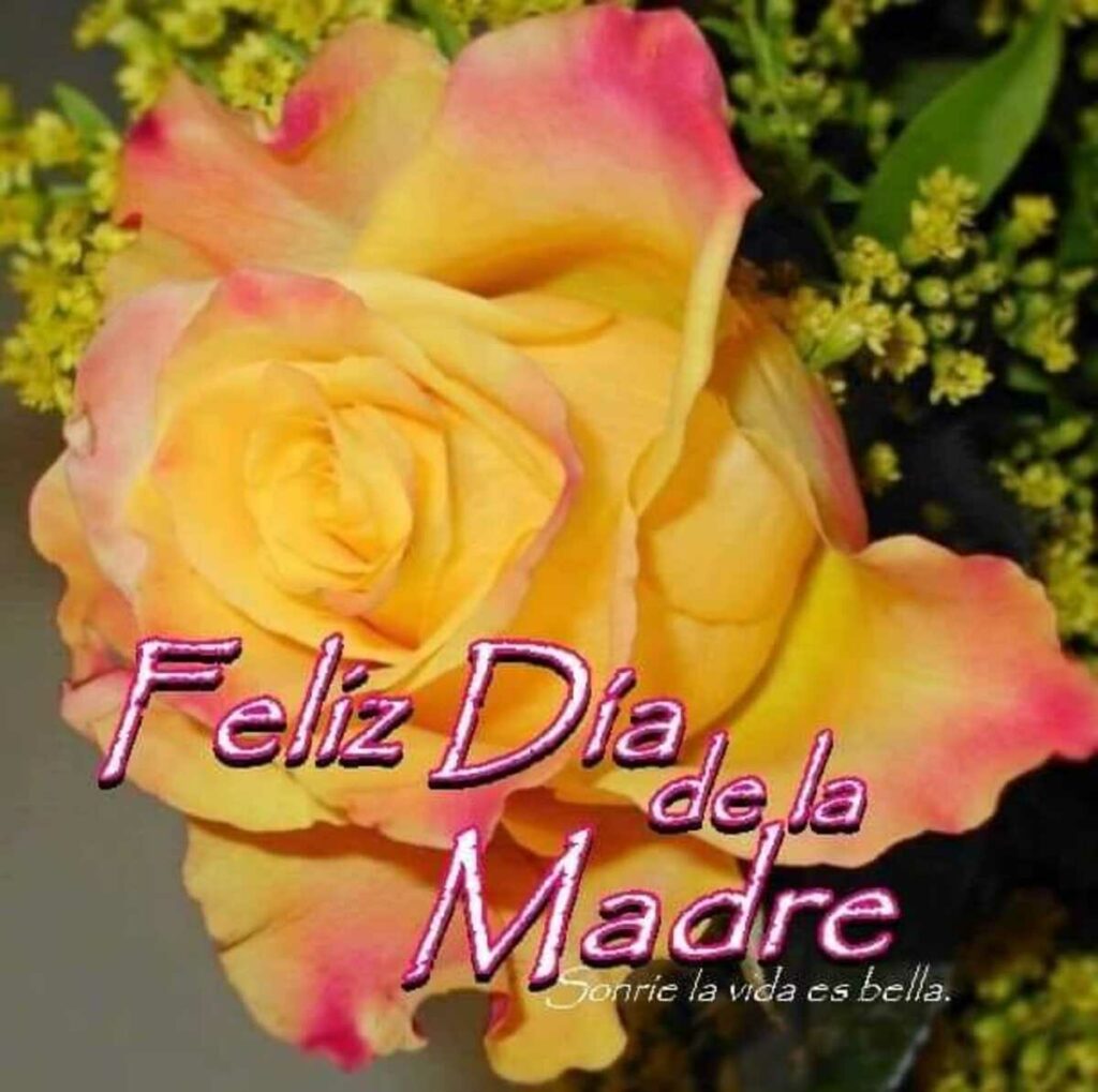 Feliz Día de la Madre