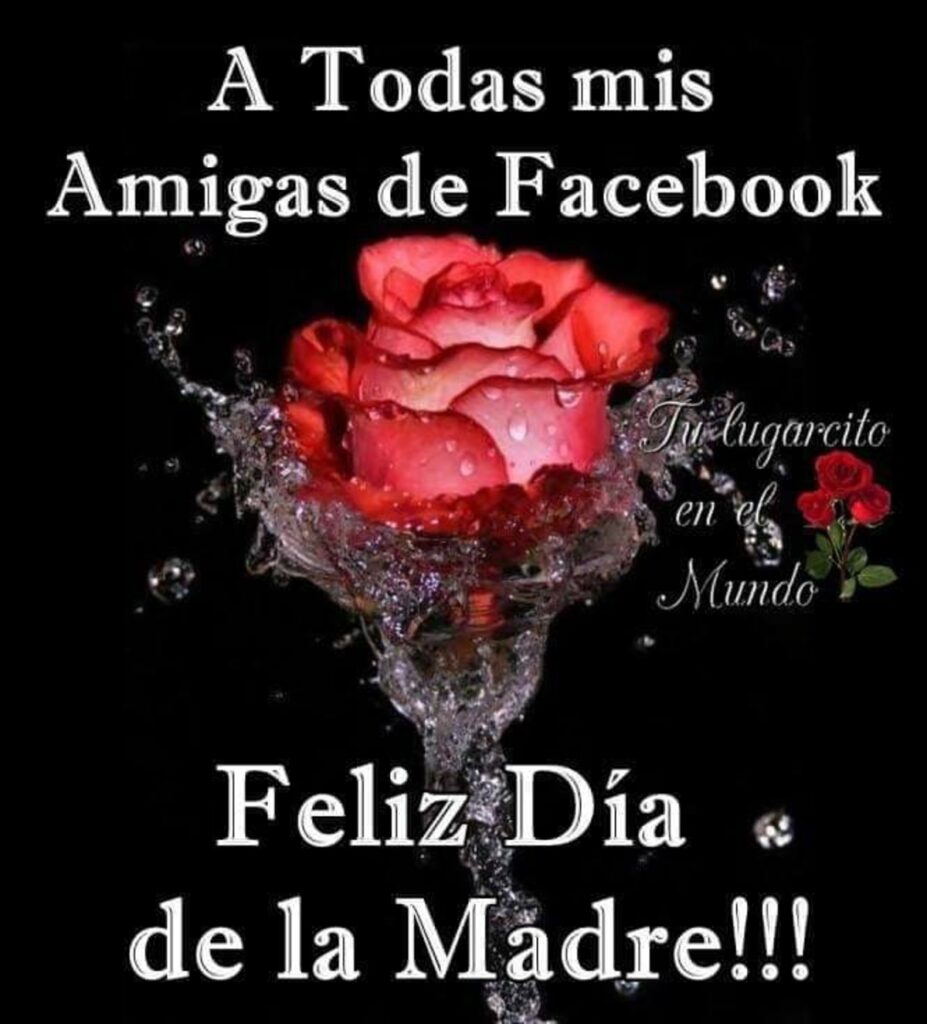 A todas mis amigas de Facebook: Feliz Día de la Madre!!!
