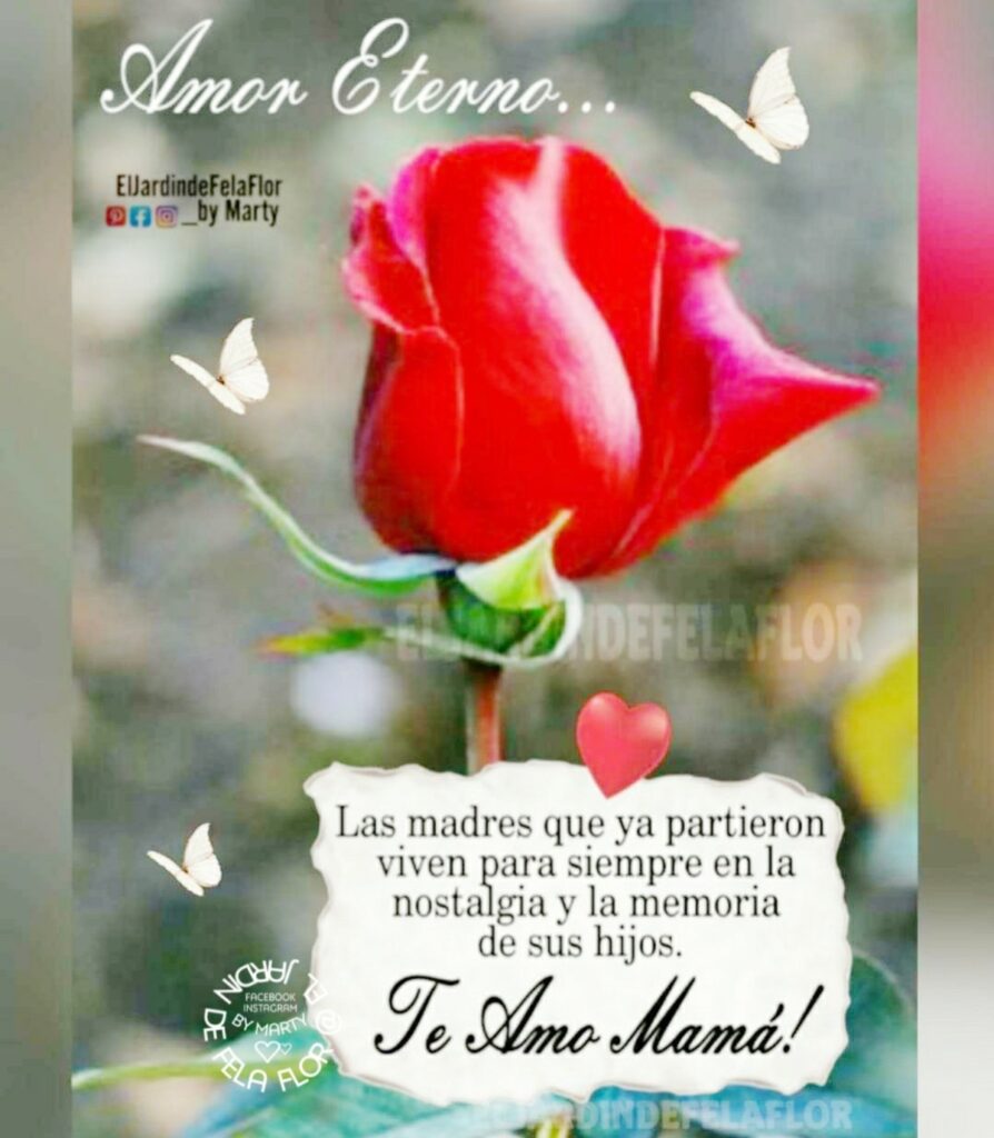 Amor Eterno... Las madres que ya partieron viven para siempre en la nostalgia y la memoria de sus hijos. Te Amo Mamá!