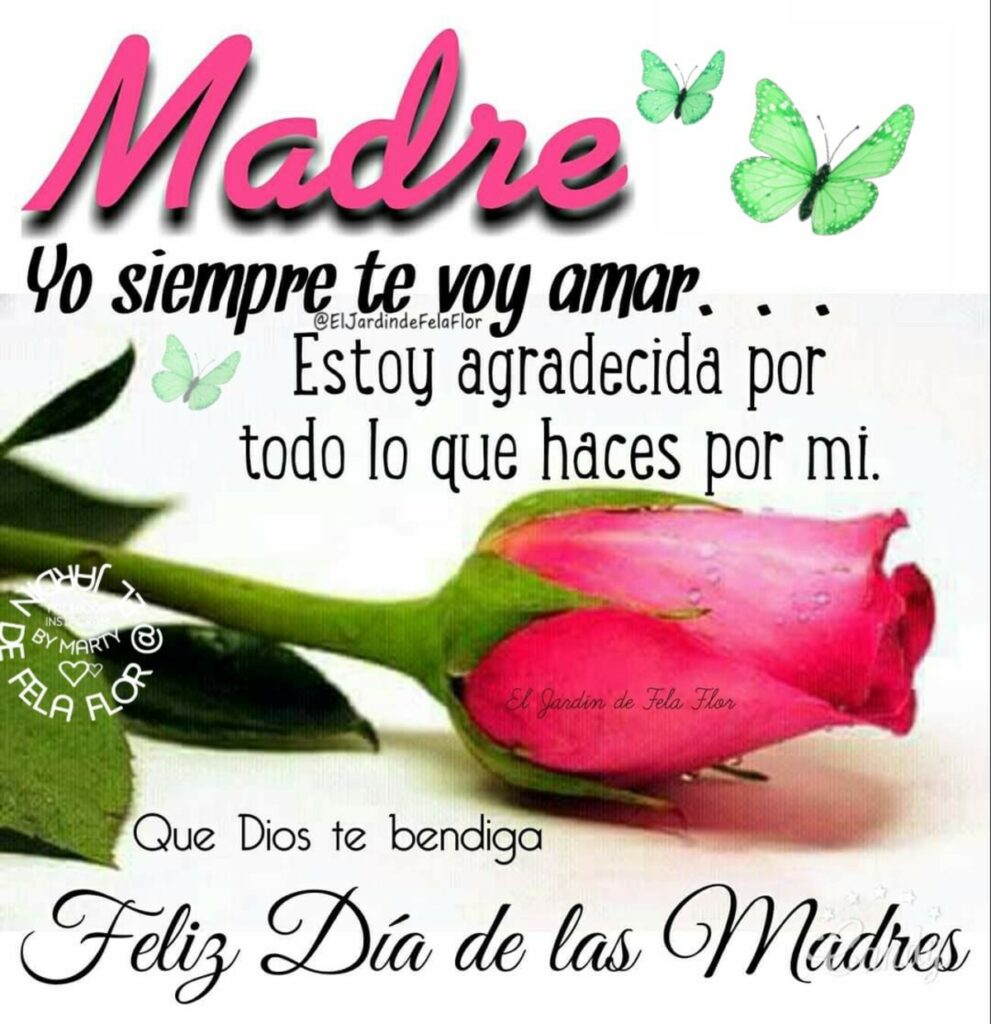 Madre yo siempre te voy amar... Estoy agradecida por todo lo que haces por mi. Feliz Día de las Madres (El jardin de Fela Flor)