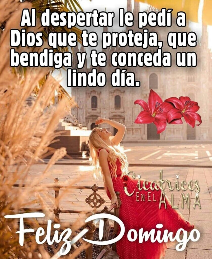 Al despertar le pedí a Dios que te proteja, que bendiga y te conceda un lindo día. Feliz domingo (Cicateices en el alma)