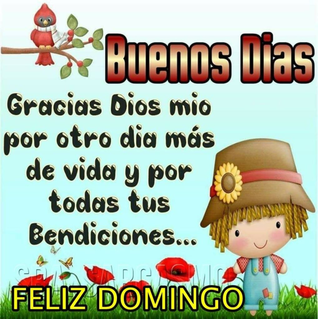 Buenos Días Feliz Domingo imágenes muy bonitas para WhatsApp