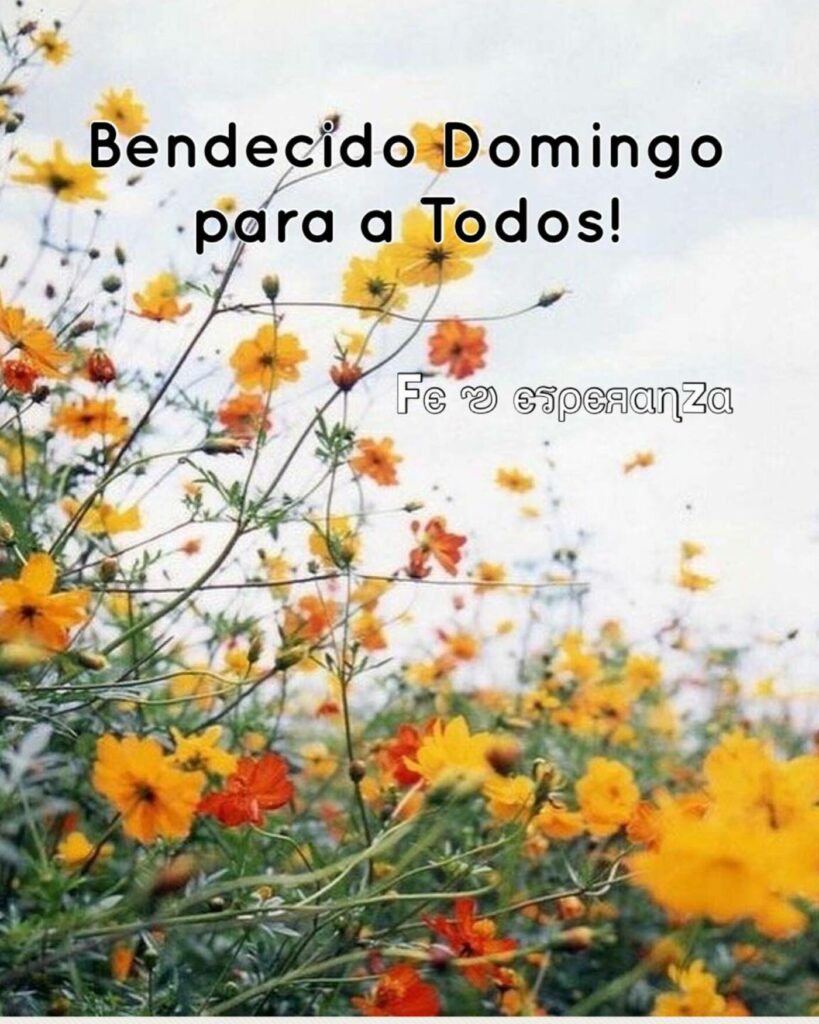 Bendecido Domingo para a todos! (Fe esperanza)