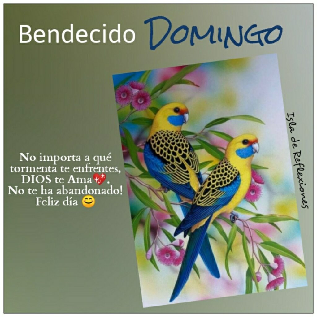 Bendecido Domingo. No importa a qué tormenta te enfrentes, Dios te ama. No te ha abandonado! Feliz Día