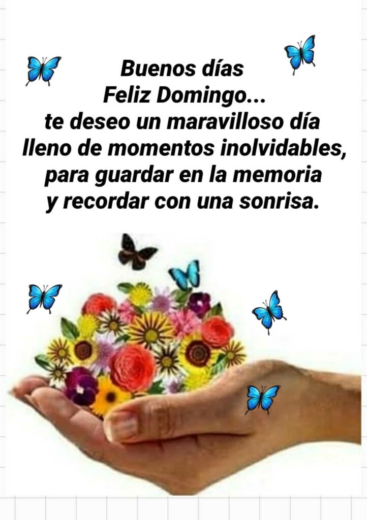 Buenos días feliz domingo... te deseo un maravilloso día lleno de momentos inolvidables, para guardar en la memorua y recordar con una sonrisa.