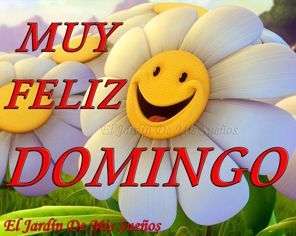 MUY FELIZ DOMINGO