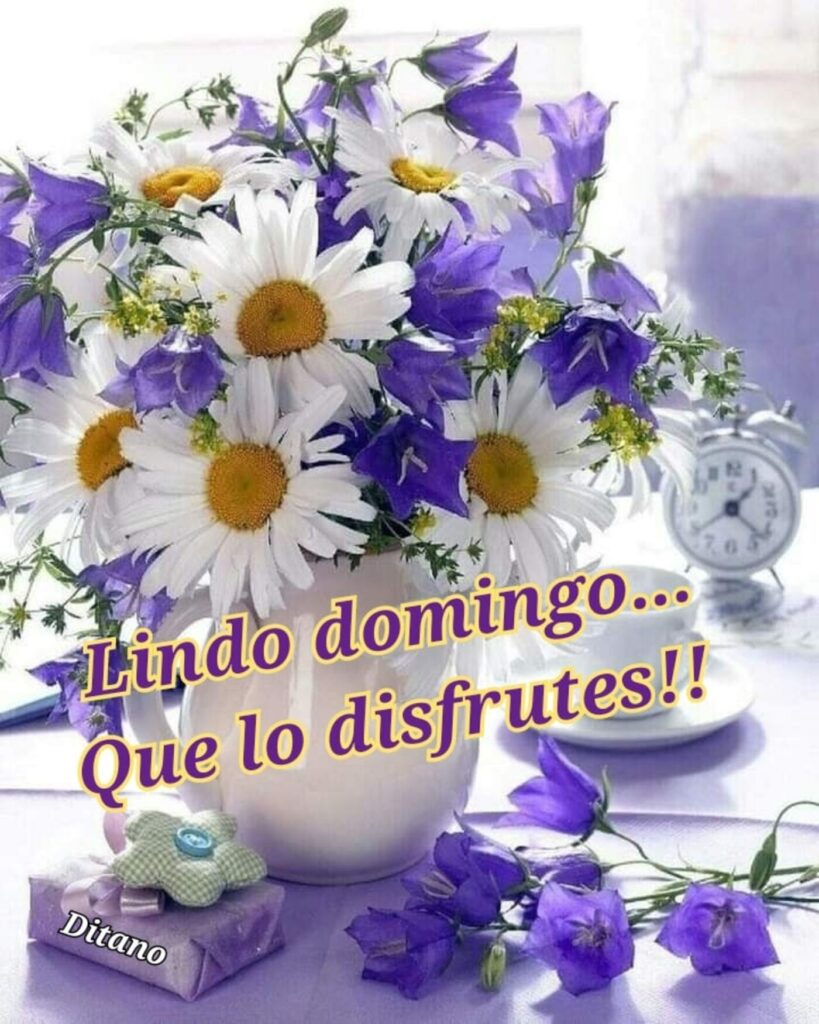 Lindo Domingo... Que lo disfrutes!!