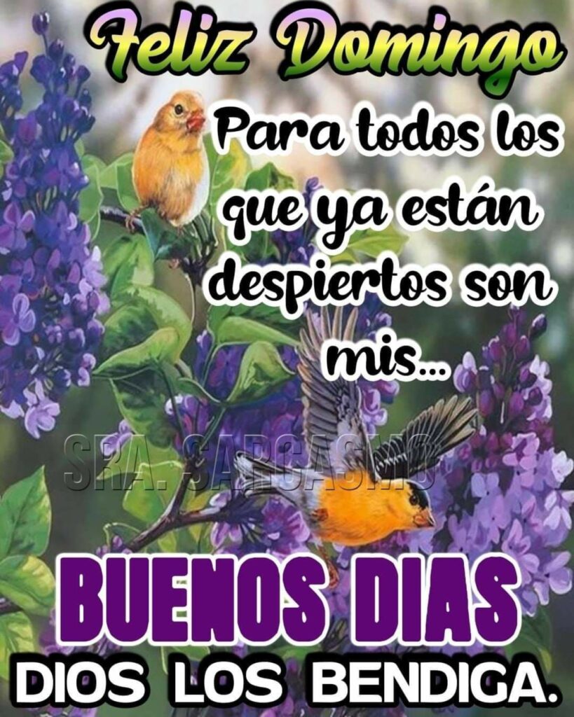 Feliz Domingo. Para todos los que ya están despiertos son mis... buenos días, Dios los bendiga