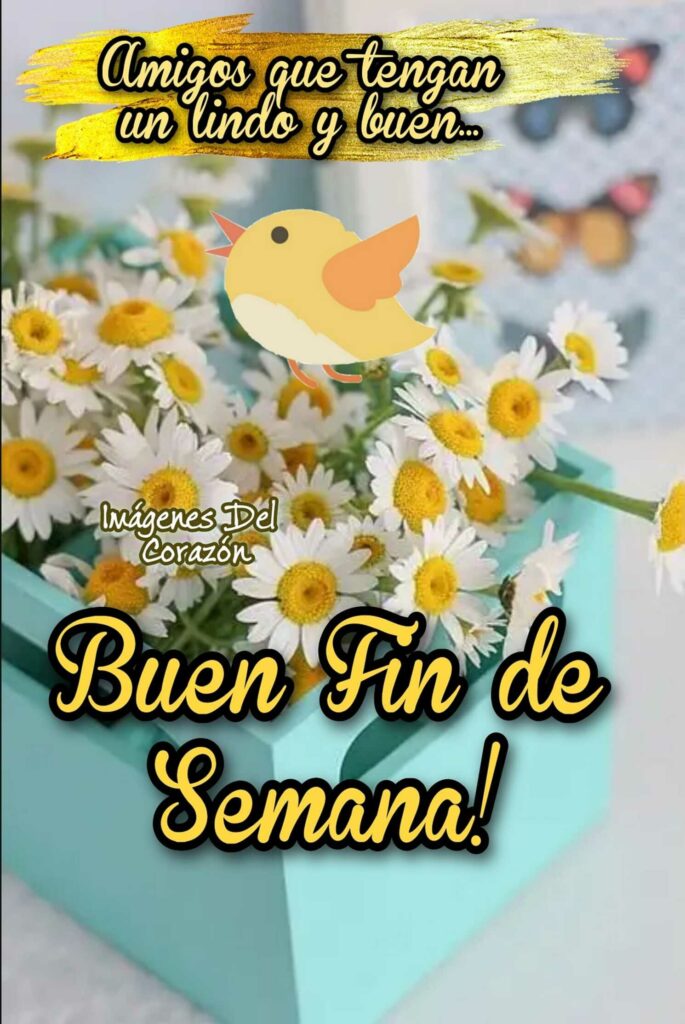 Amigos que tengan un lindo y buen... Buen Fin de Semana!