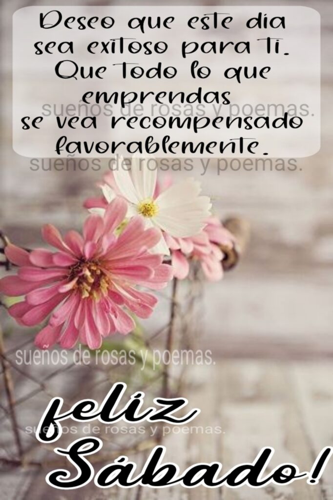 Deseo que este día sea exitoso para ti. Que todo lo que emprendas se vea recompensado favorablemente. Feliz Sábado !