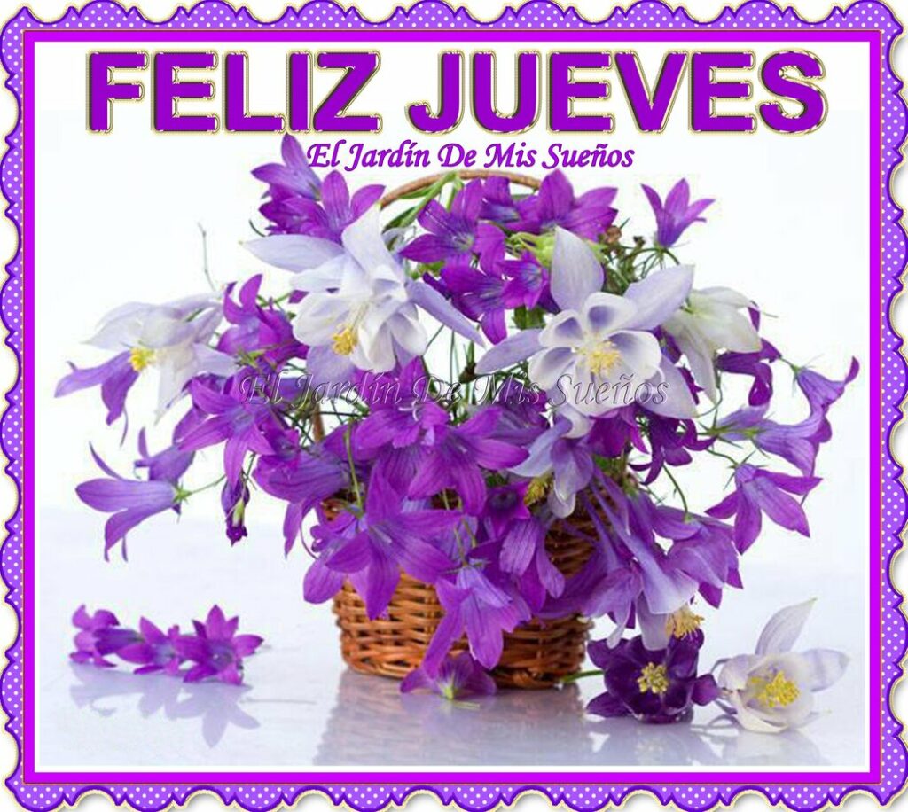 FELIZ JUEVES (El jardin de mis sueños)