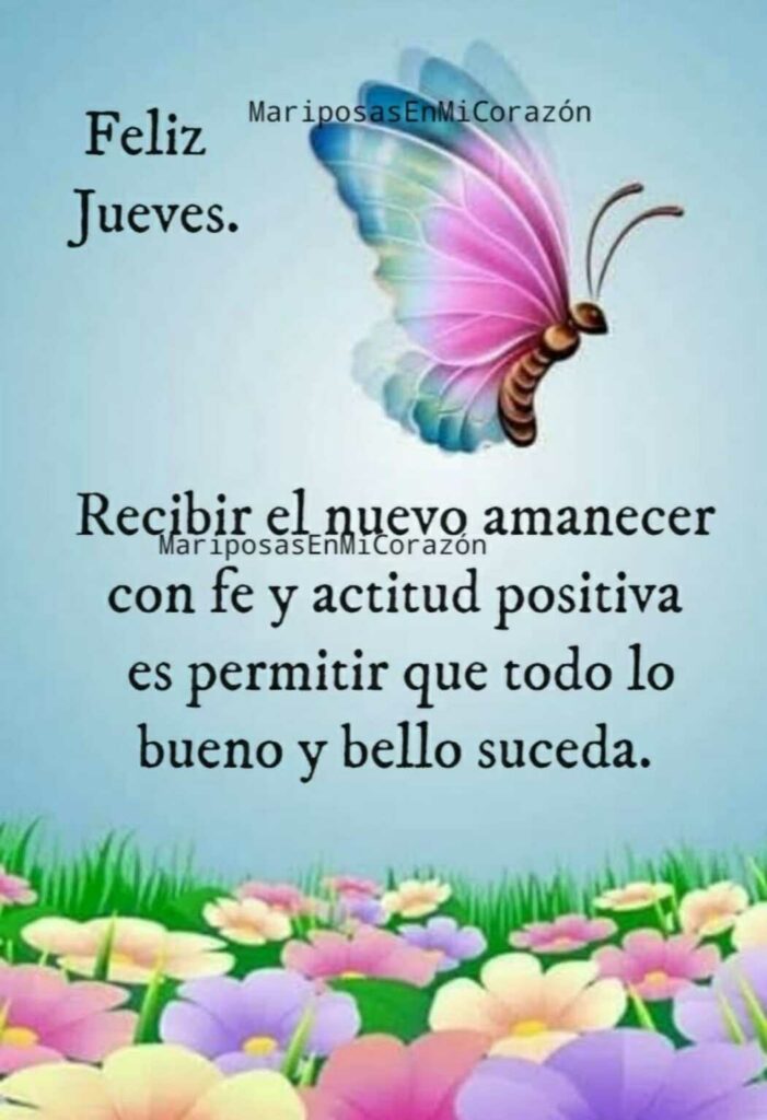 Feliz Jueves. Recibir el nuevo amanecer con fe y actitud positiva es permitir que todo lo bueno y bello suceda.