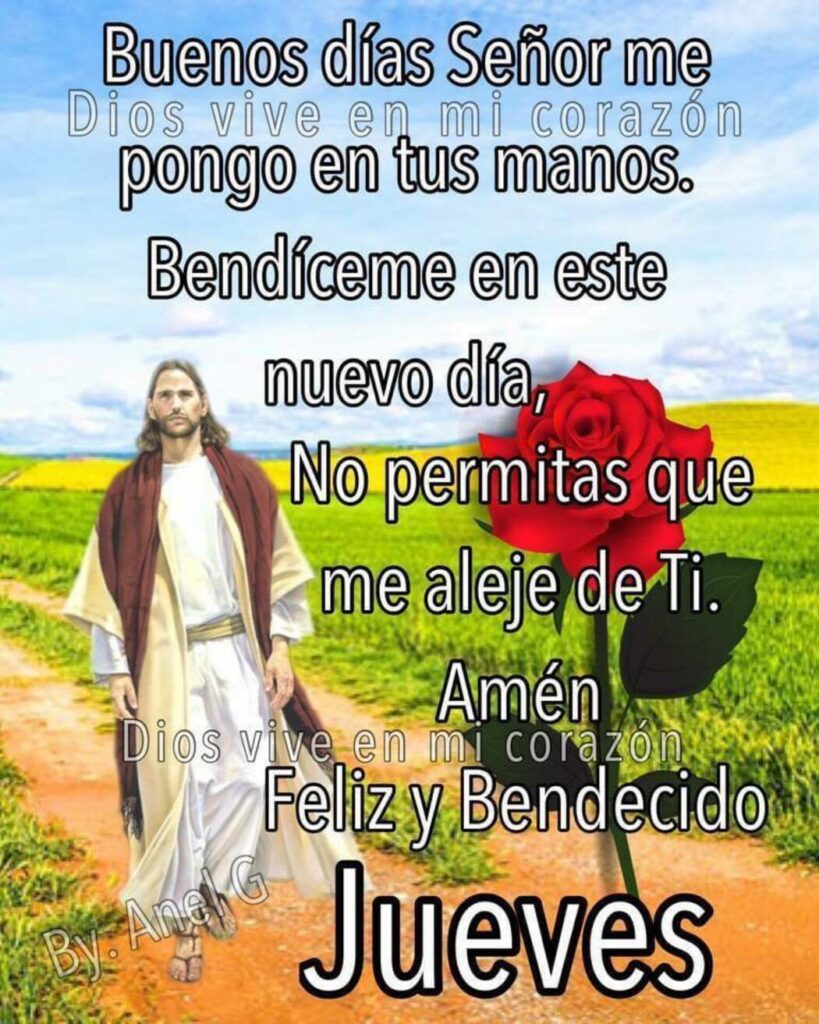 Buenos días Señor me pongo en tus manos. Bendíceme en este nuevo día, no permitas que me aleje de Ti. Amén. Feliz y bendecido Jueves