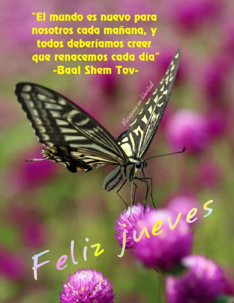 "El mundo es nuevo para nosotros cada mañana, y todos deberíamos creer que renacemos cada día." (Baal Shem Tov) Feliz Jueves